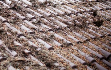 Beetley roof cleaning companies